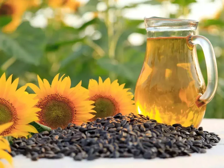 دانه و میوه های روغن دار؛ دانه ، بذر و