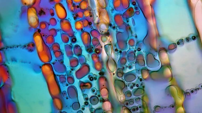 محصولات شیمیایی غیرآلی؛ ترکیبات آلی یا غیرآلی از فلزات گرانبها،